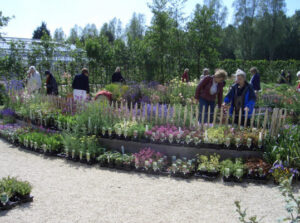 Plantenverkoop