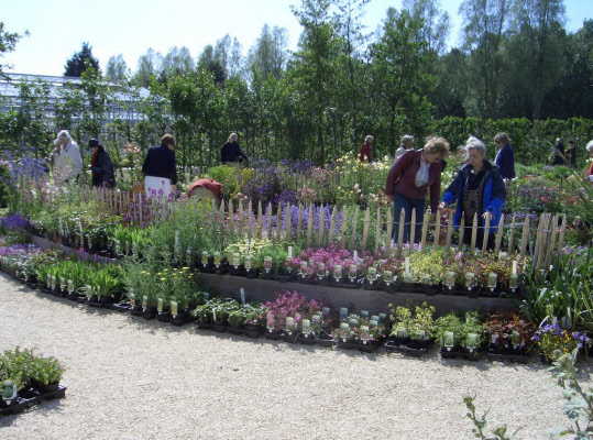 Plantenverkoop